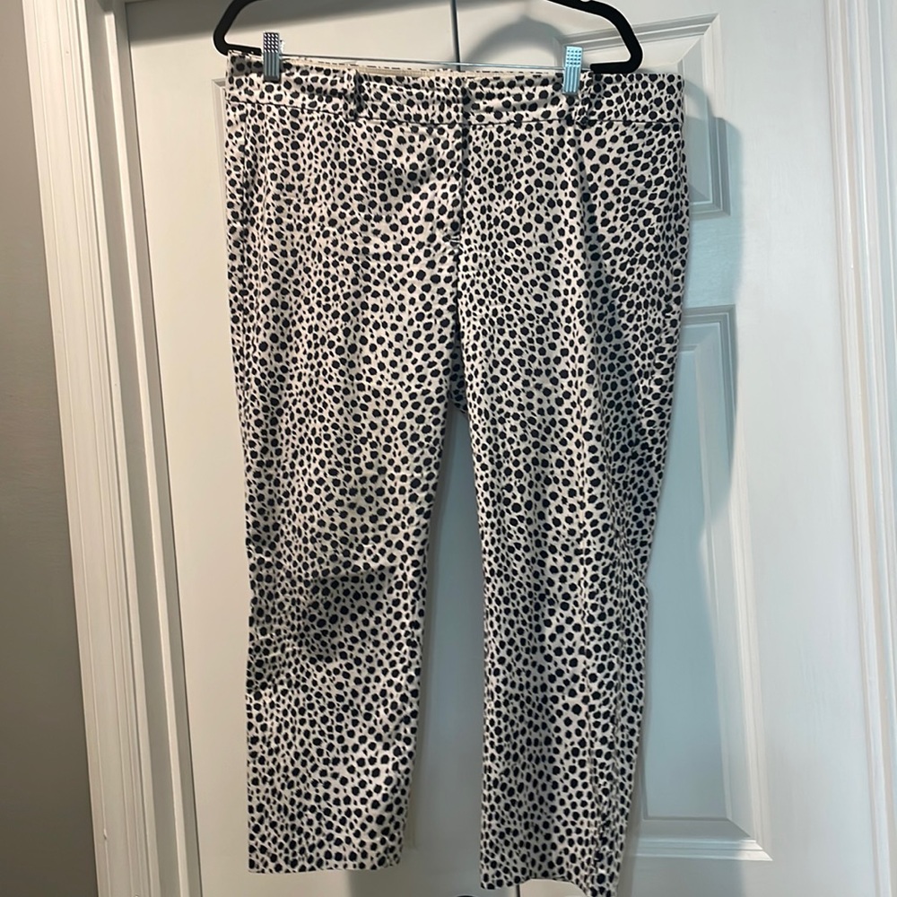 Ann Taylor Carnegie Crop Pants